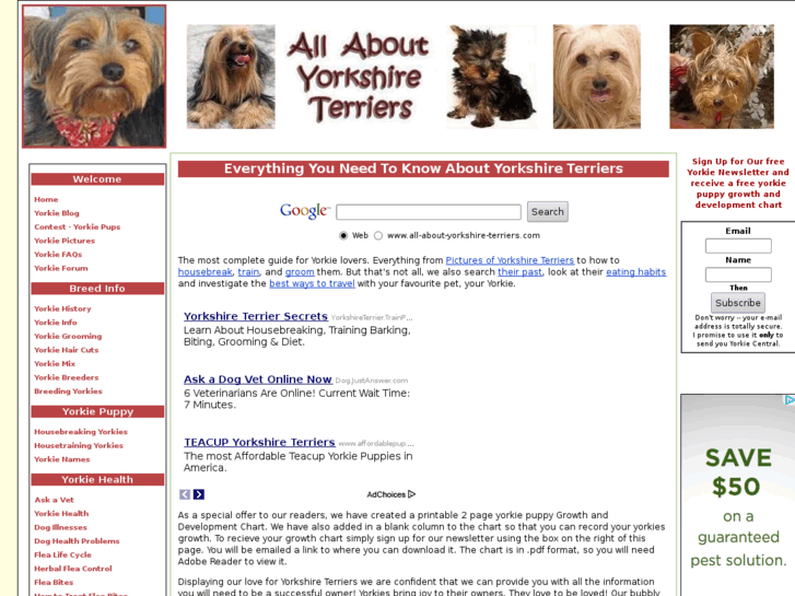 www.all-about-yorkshire-terriers.com