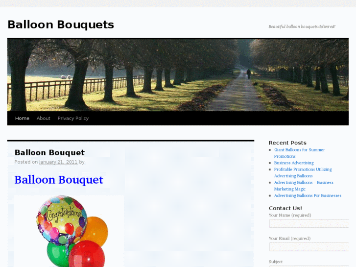 www.balloon-bouquet.com