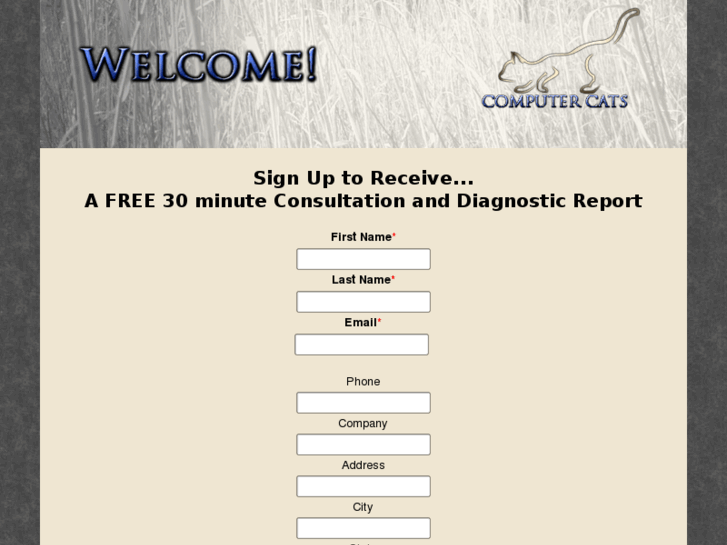 www.computercats.biz