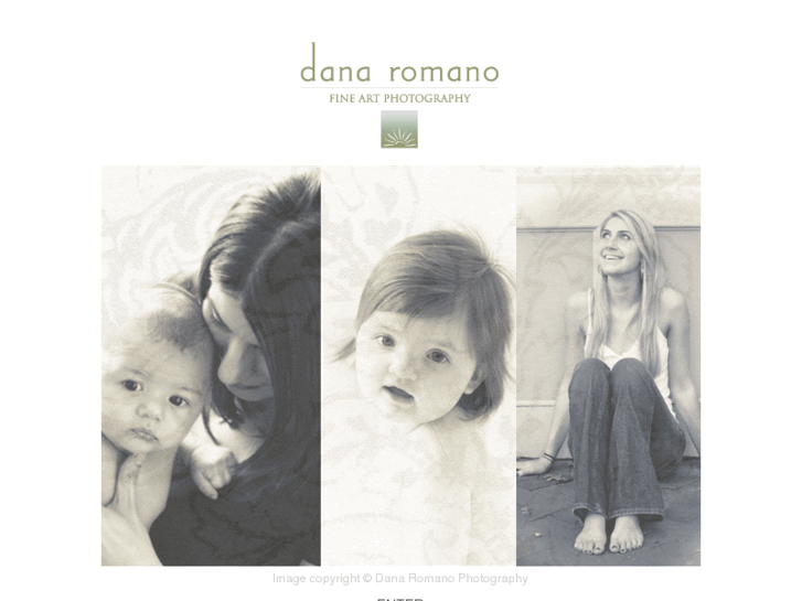 www.danaromano.com