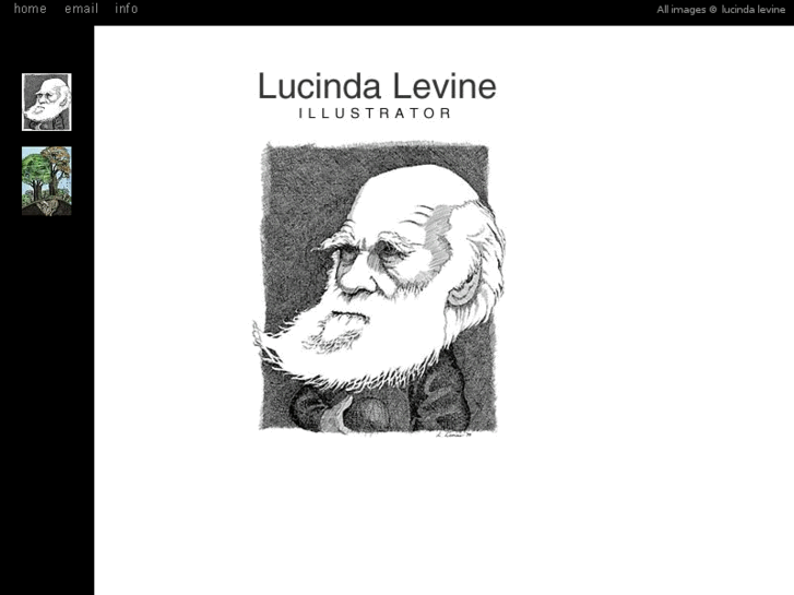 www.lucindalevine.com