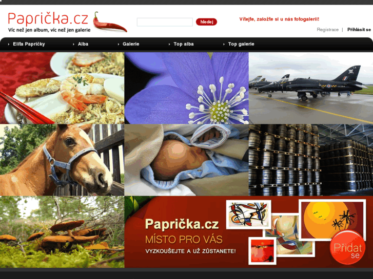 www.papricka.cz