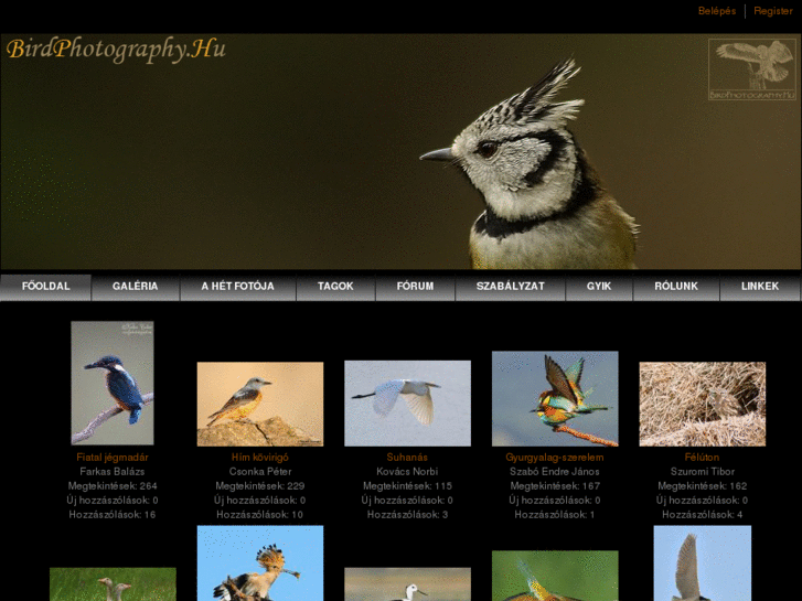 www.birdphotography.hu