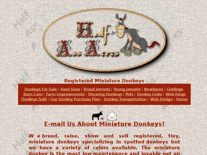 www.donkeys-4-sale.com