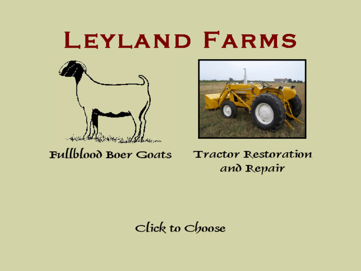 www.leylandfarms.com