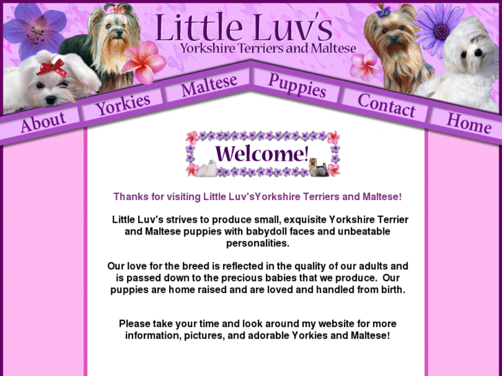 www.littleluv.net