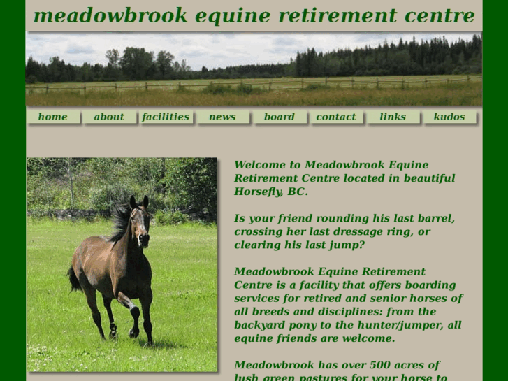 www.meadowbrook-equine.com