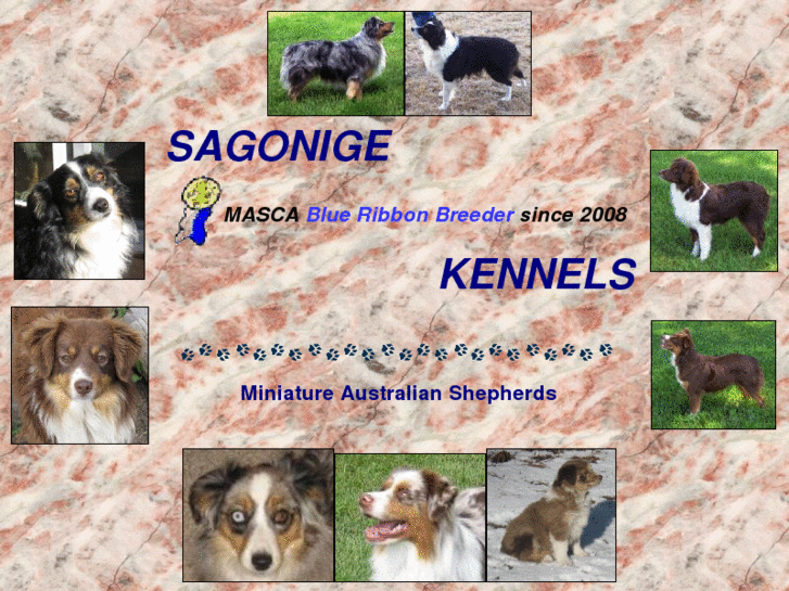 www.sagonigekennels.com