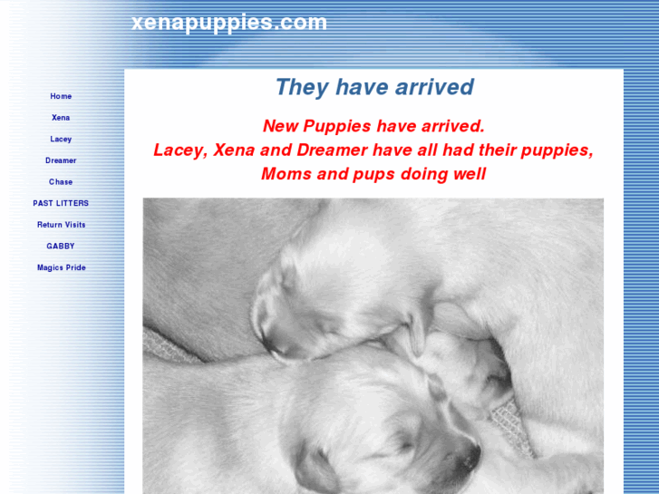 www.xenapuppies.com