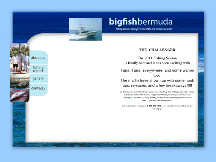 www.bigfishbermuda.com