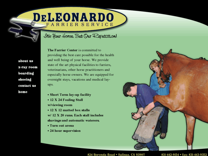 www.deleonardohorseshoeing.com