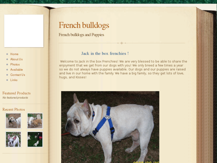 www.jackintheboxfrenchies.com