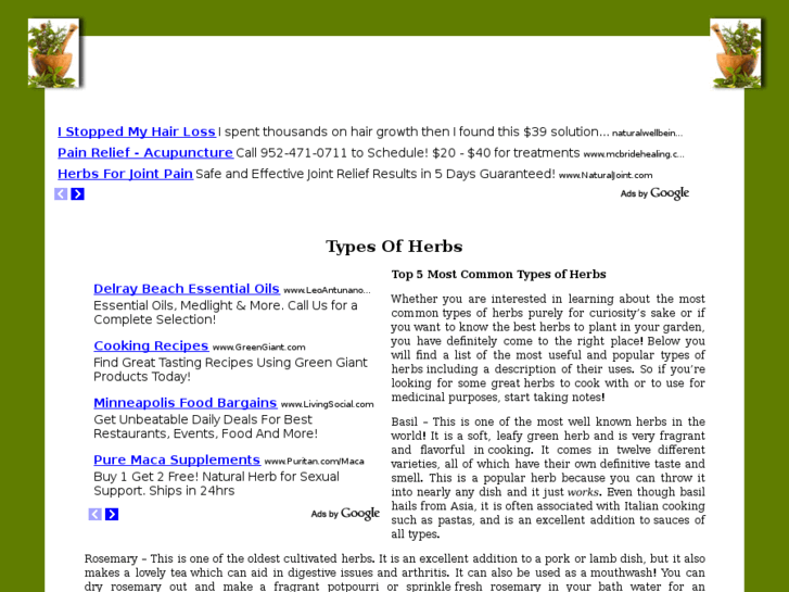www.typesofherbs.net