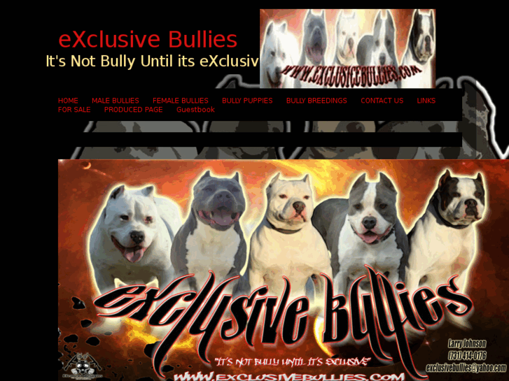 www.exclusivebullies.com