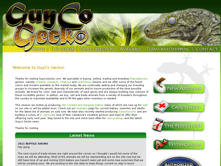 www.guycogecko.com