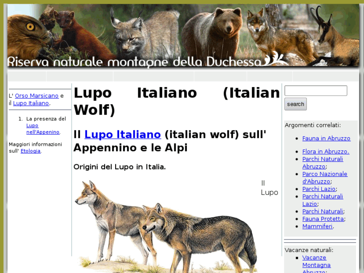 www.italianwolf.it