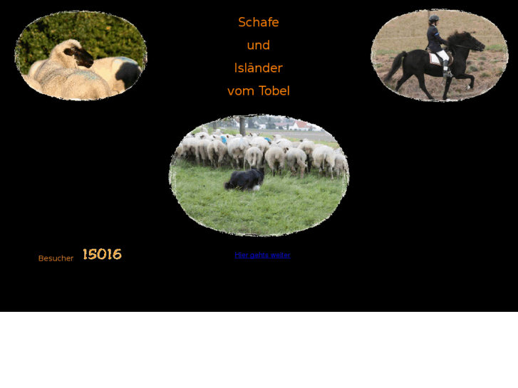 www.schafe-bordercollie-islaender.de