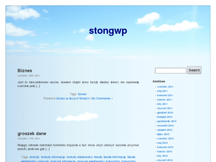 www.stongwp.com