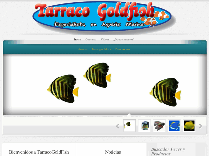 www.tarracogoldfish.com