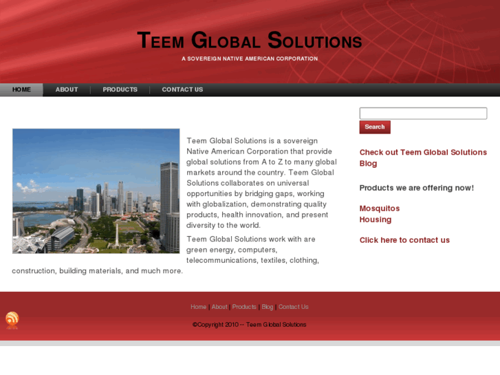 www.teemglobalsolutions.com