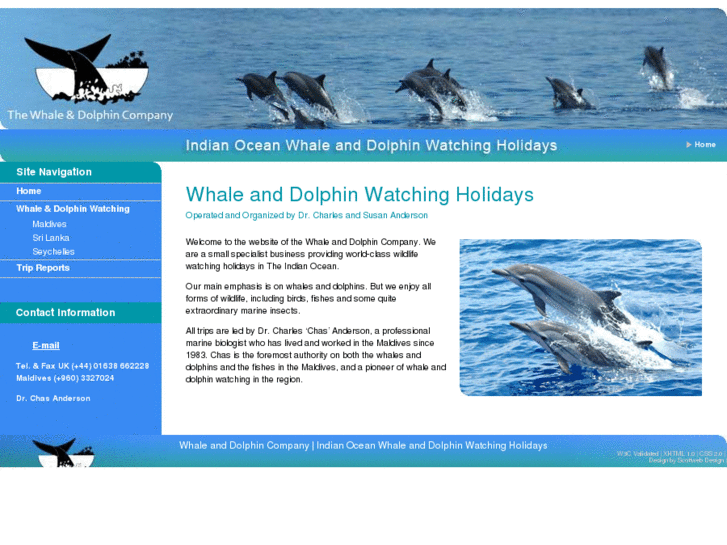 www.whale-and-dolphin.com