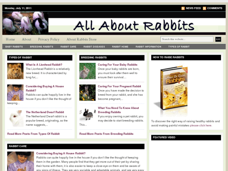 www.aboutrabbits.net