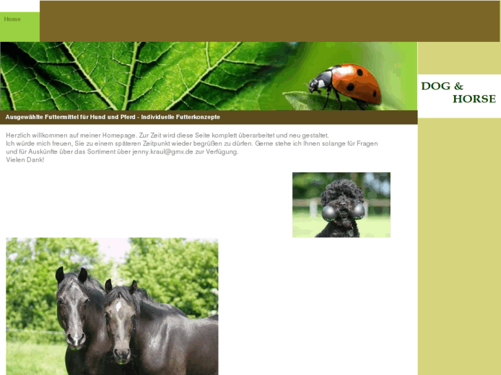 www.dogandhorse.info