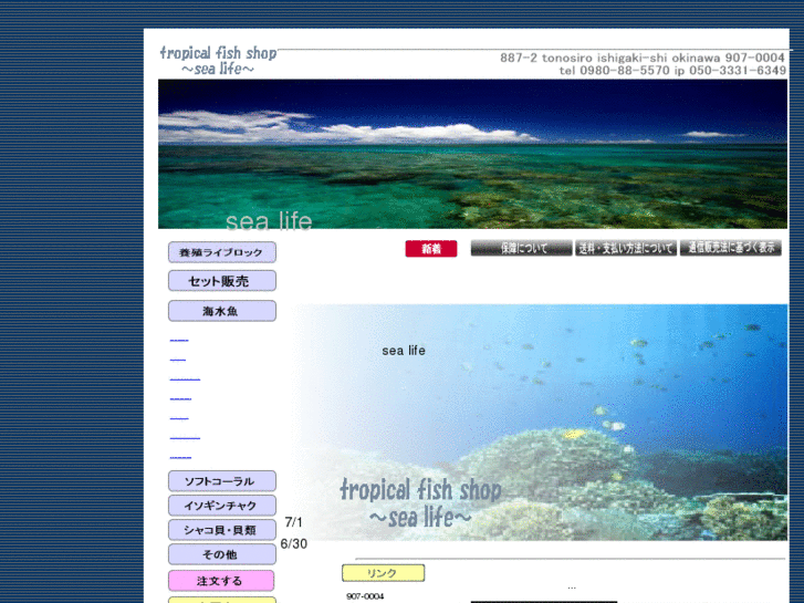 www.sealife-ishigaki.com