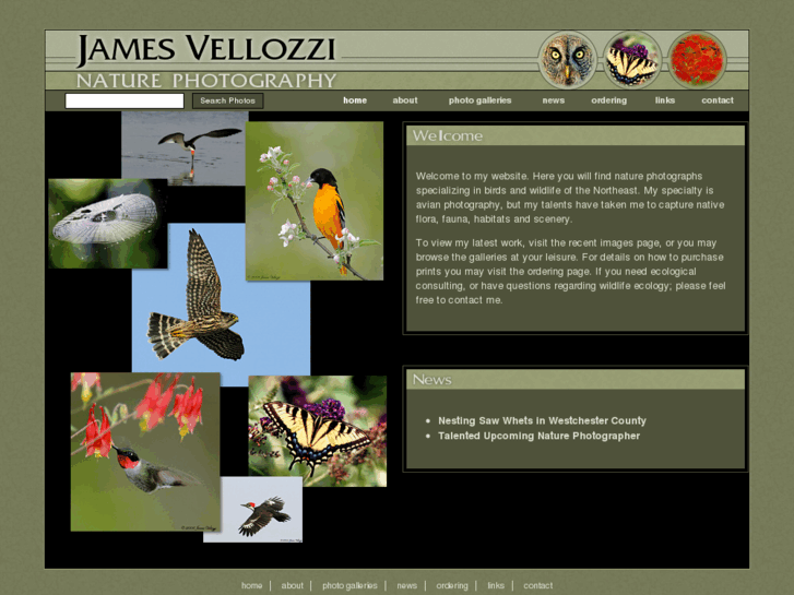 www.jamesvellozzinaturephotography.com