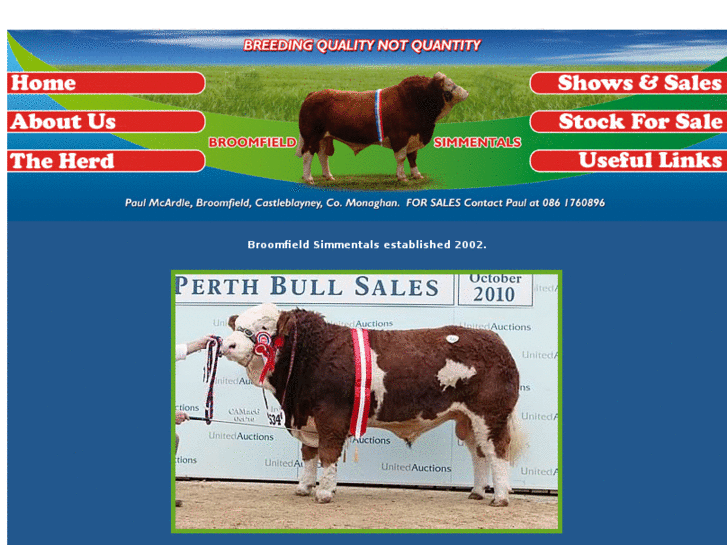 www.broomfieldsimmentals.com