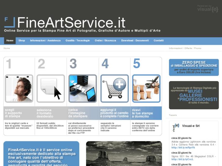 www.fineartservice.it