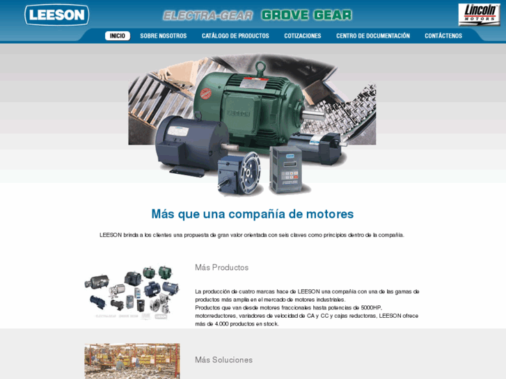 www.leeson-electric-export.com