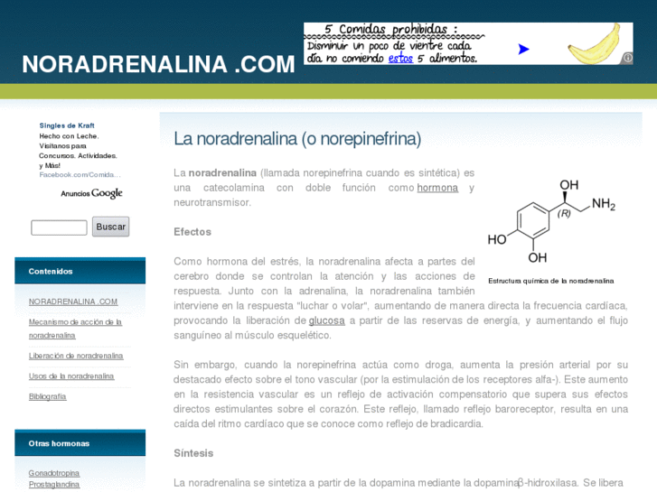 www.noradrenalina.com