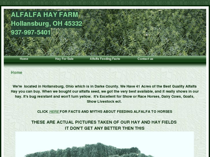 www.alfalfahayfarm.com