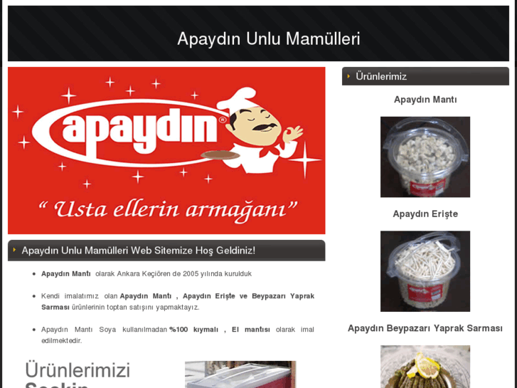 www.apaydinmanti.com