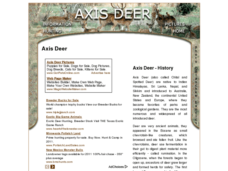 www.axis-deer.com