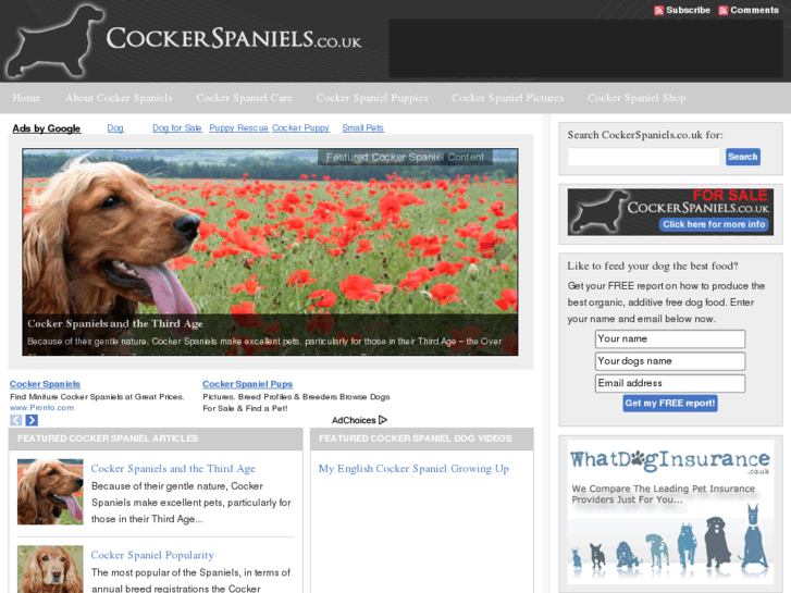 www.cockerspaniels.co.uk