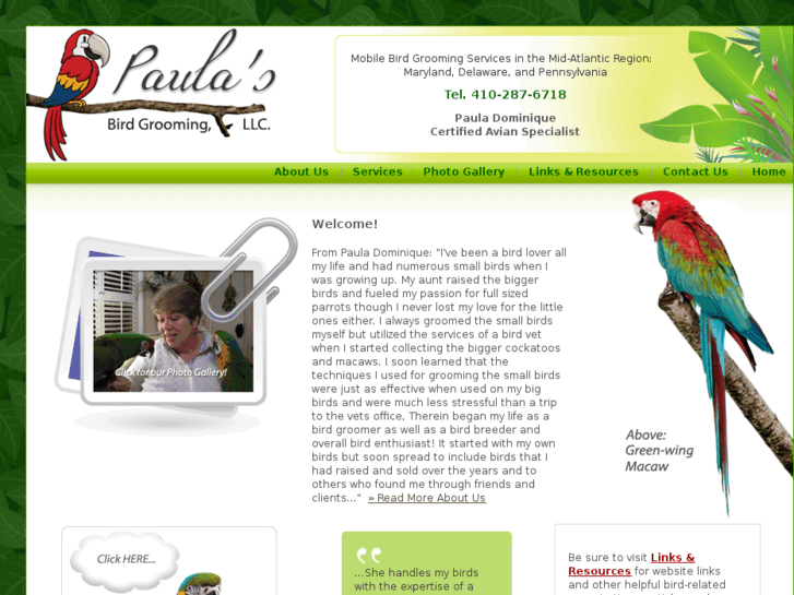 www.paulasbirdgrooming.com