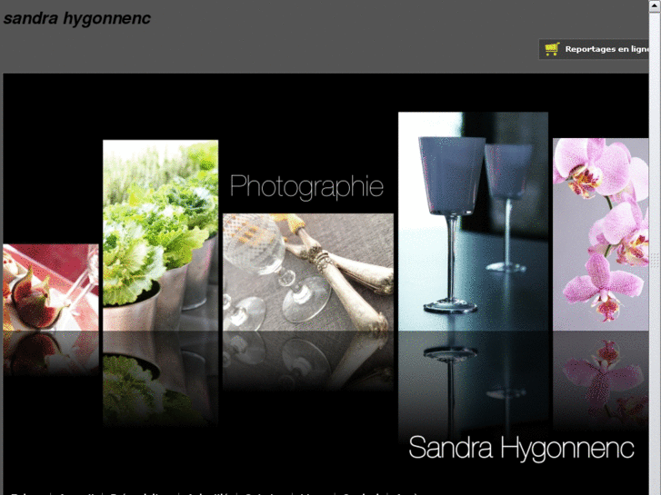 www.sandrahygonnenc.com