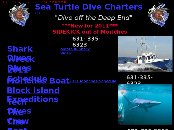 www.seaturtlecharters.com