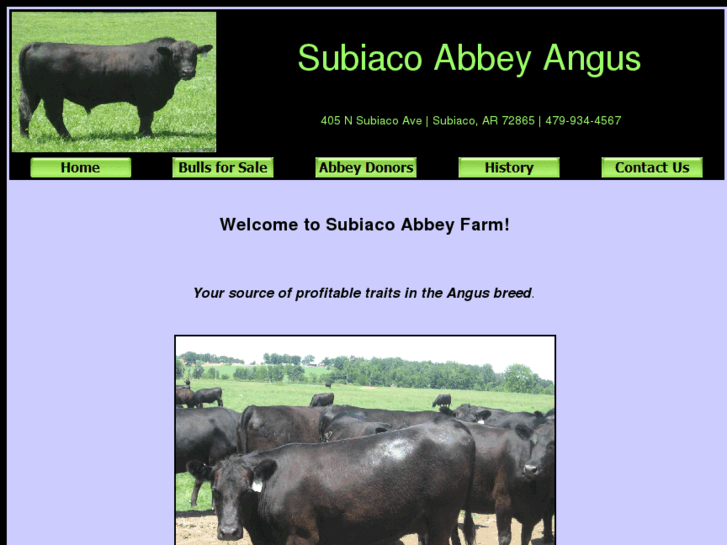 www.abbeyangus.com