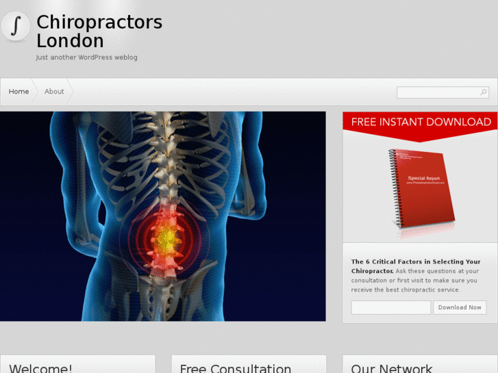 www.chiropractorslondon.co.uk