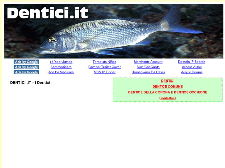 www.dentici.it