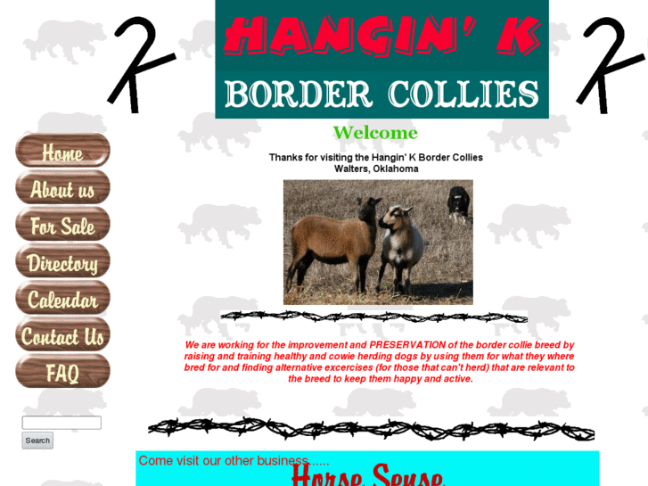 www.hanginkbordercollies.com