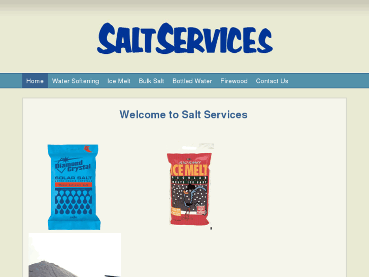 www.salt-services.com