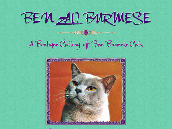 www.benzaliburmese.com