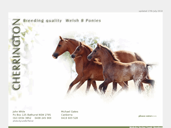 www.cherringtonponies.com