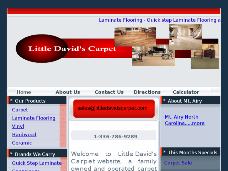 www.littledavidscarpet.com