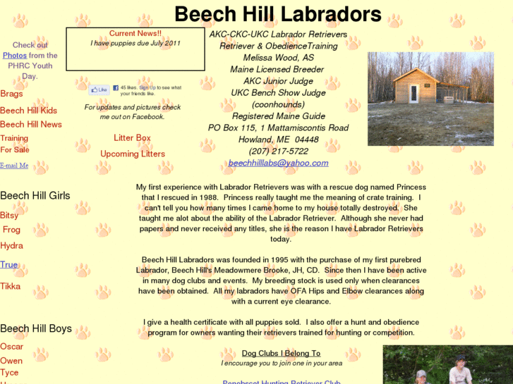 www.beechhilllabradors.com