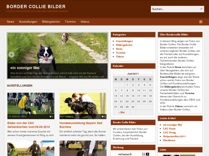 www.bordercollie-bilder.de